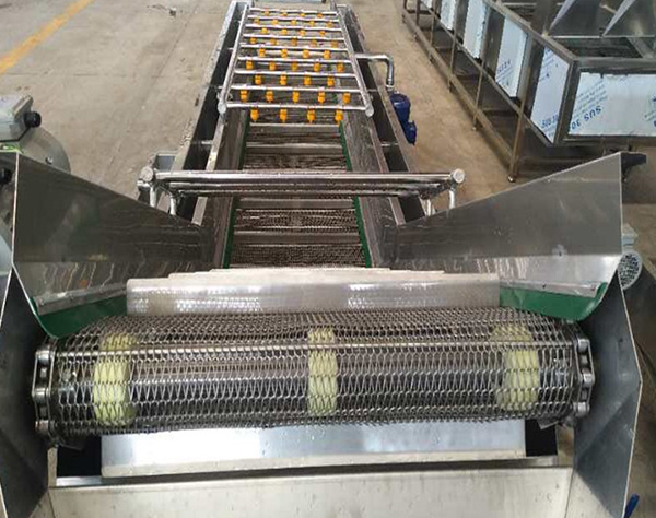 蔬菜氣泡清洗機(jī)價(jià)格及技術(shù)參數(shù)