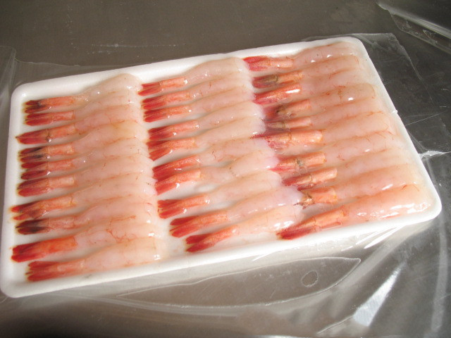 1589183420791168.jpg 567941839_310779838_副本.jpg